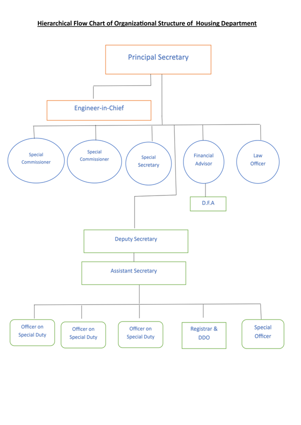 Organizational Structure